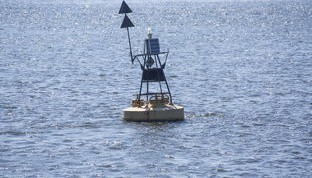 九游网页官网-中方蝶泳入水角度更锐利？图解数据分析，中国蝶泳厉害吗