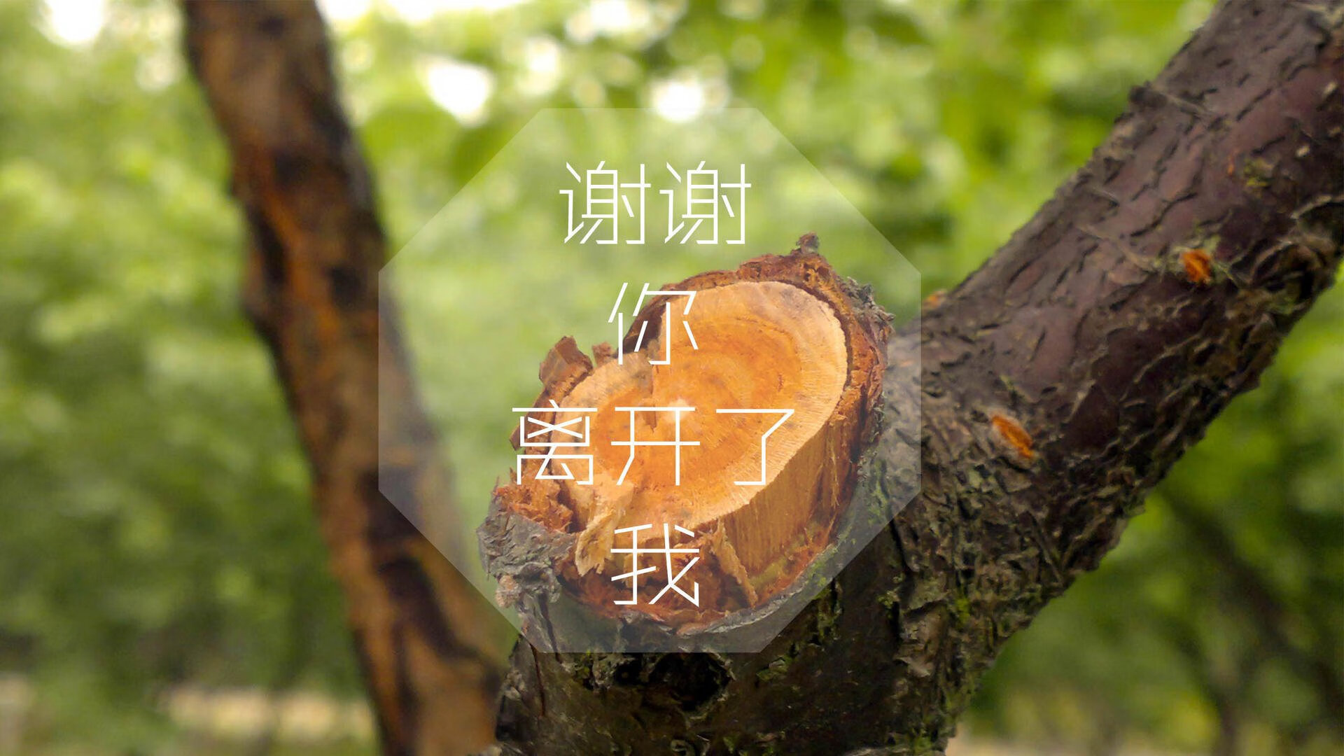 全国青少年“篮球+文化+旅游”融合发展新模式在昆明全面启动，促进产业联动