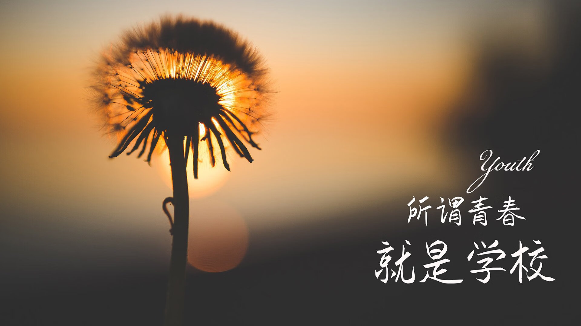 九游正版入口-德国欧预赛踢出精彩战绩，稳坐小组第一，欧洲世预赛德国队