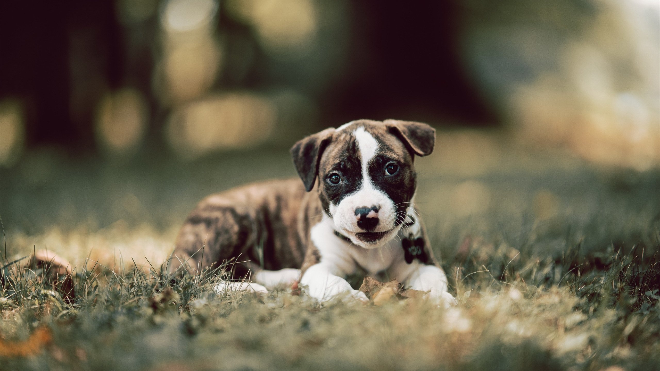 九游娱乐官网 (JIUYOU)-中超后防失误导致丢球统计报告，中超丢球最少记录