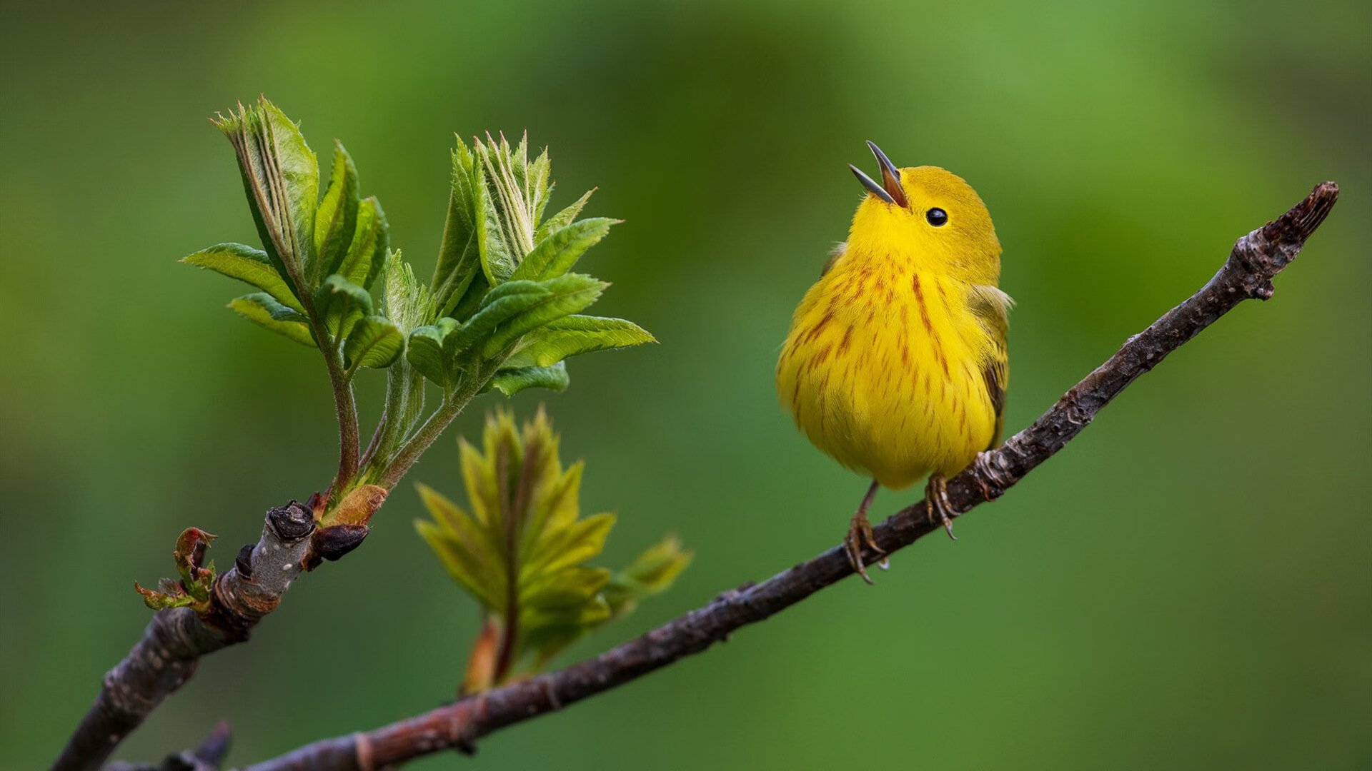 中超球队主力球员替换方案效能评估,中超联赛换人规则