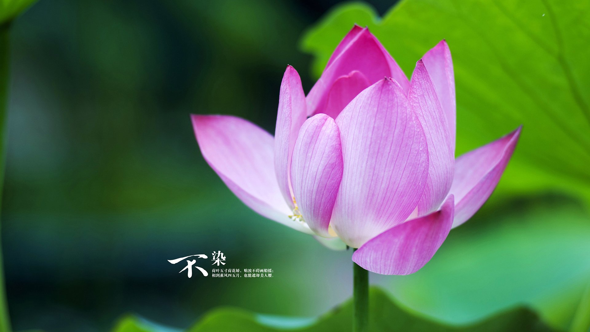 俱乐部财务压力：疫情后复苏的策略秘笈，疫情对俱乐部的影响