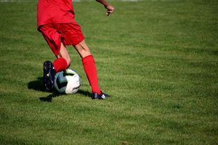 九游娱乐-篮球运动员心理健康维护服务体系研究，篮球心理技能训练计划