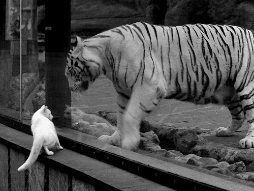 联赛激战总结:本周最精彩的比赛盘点