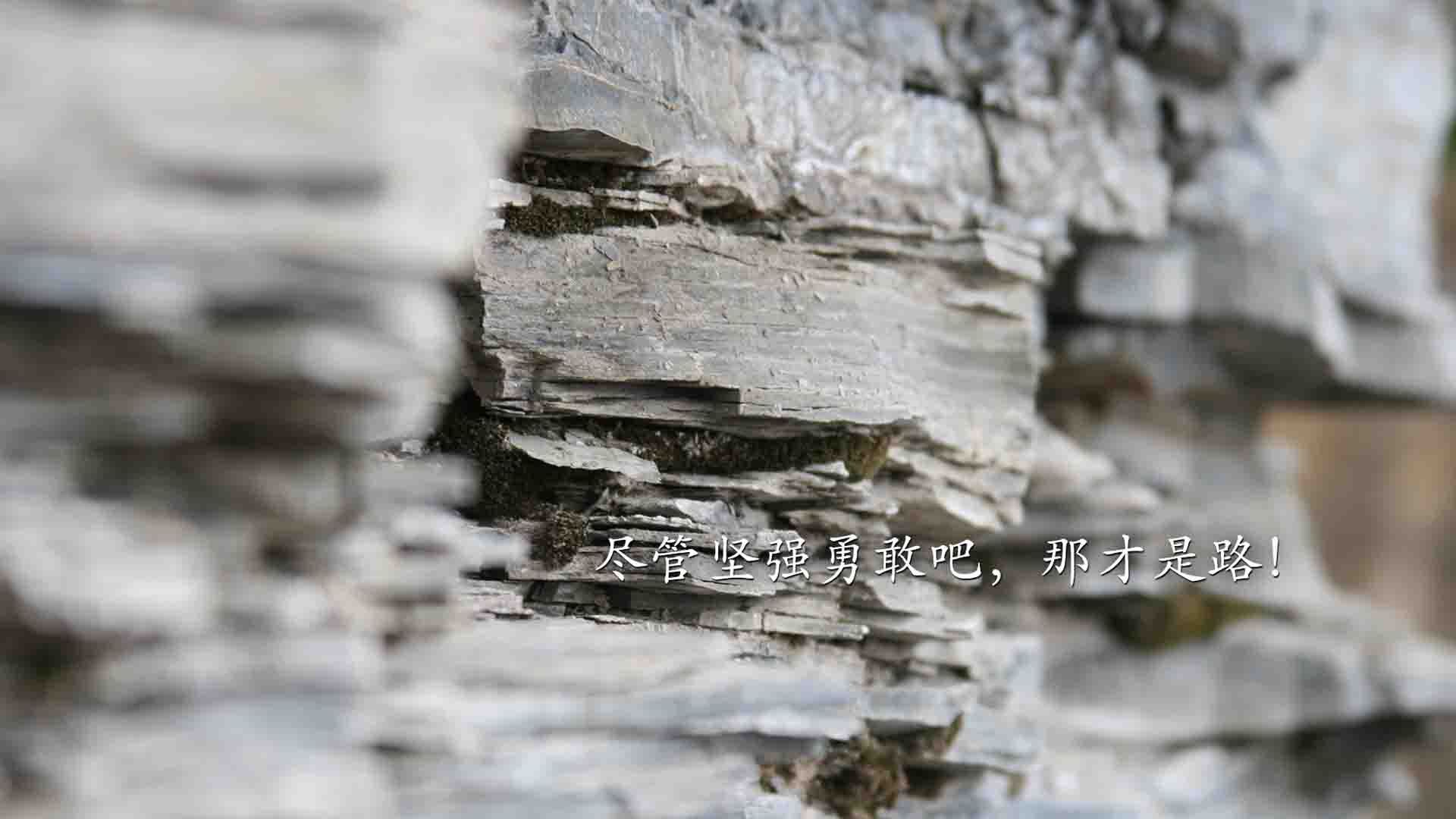 高校体育专业课程体系改革创新研究,高校体育改革发展趋势