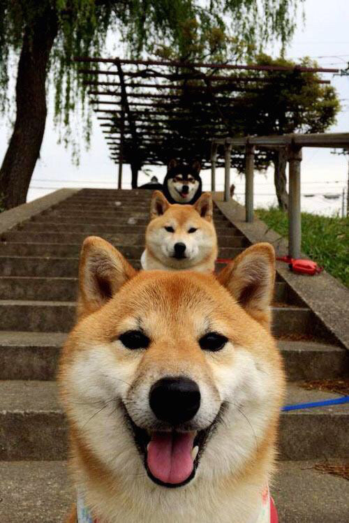 CBA赛季吸引大量篮球迷关注,cba球队2021