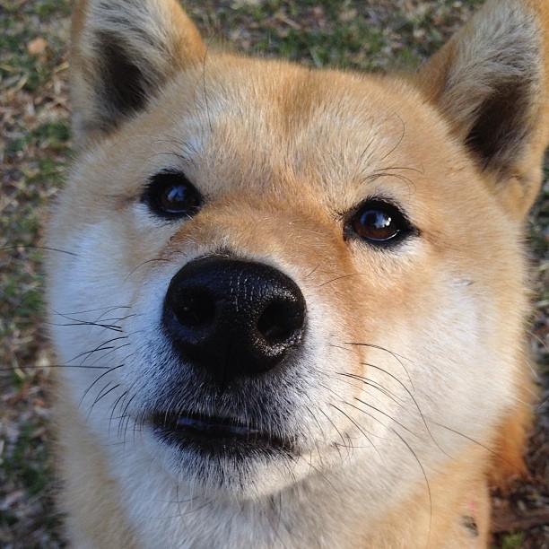 国家队体能训练标准亟待提升,国家队体能通用标准