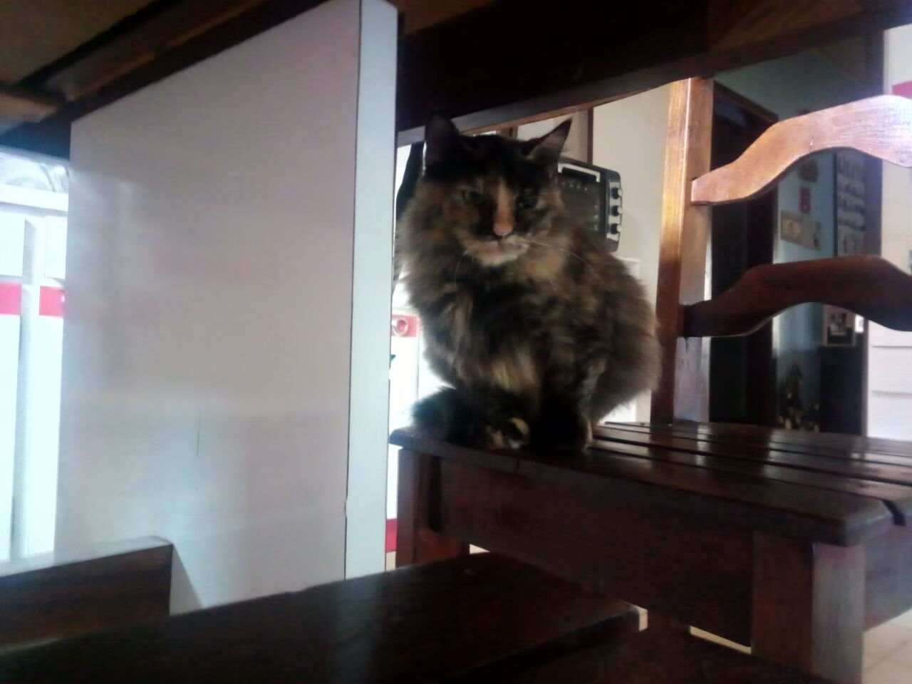 JIUYOU GAMING-西雅图海湾者战术布置针对PSG亮点，西雅图海湾人vs洛杉矶fc比分预测