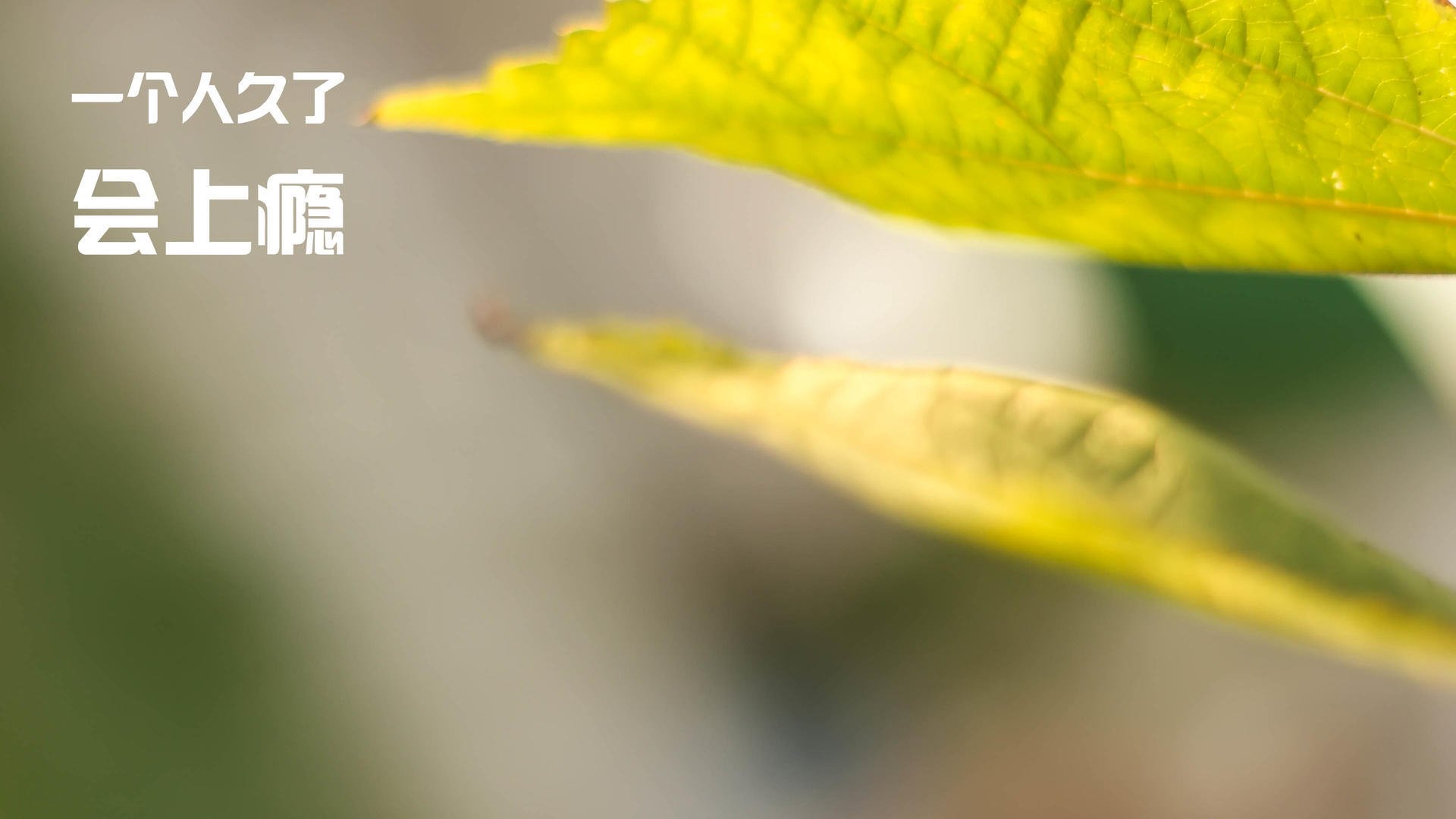 那不勒斯锋线压迫造成防线崩溃，那不勒斯前锋组合