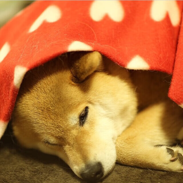 九游网页版官网-CBA球员心理素质培训强化比赛抗压能力，篮球运动员心理训练