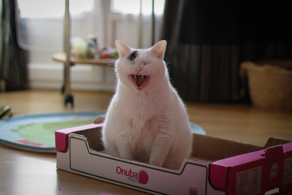 梅西带伤完成比赛世界杯小组赛，梅西参加世界杯预选赛