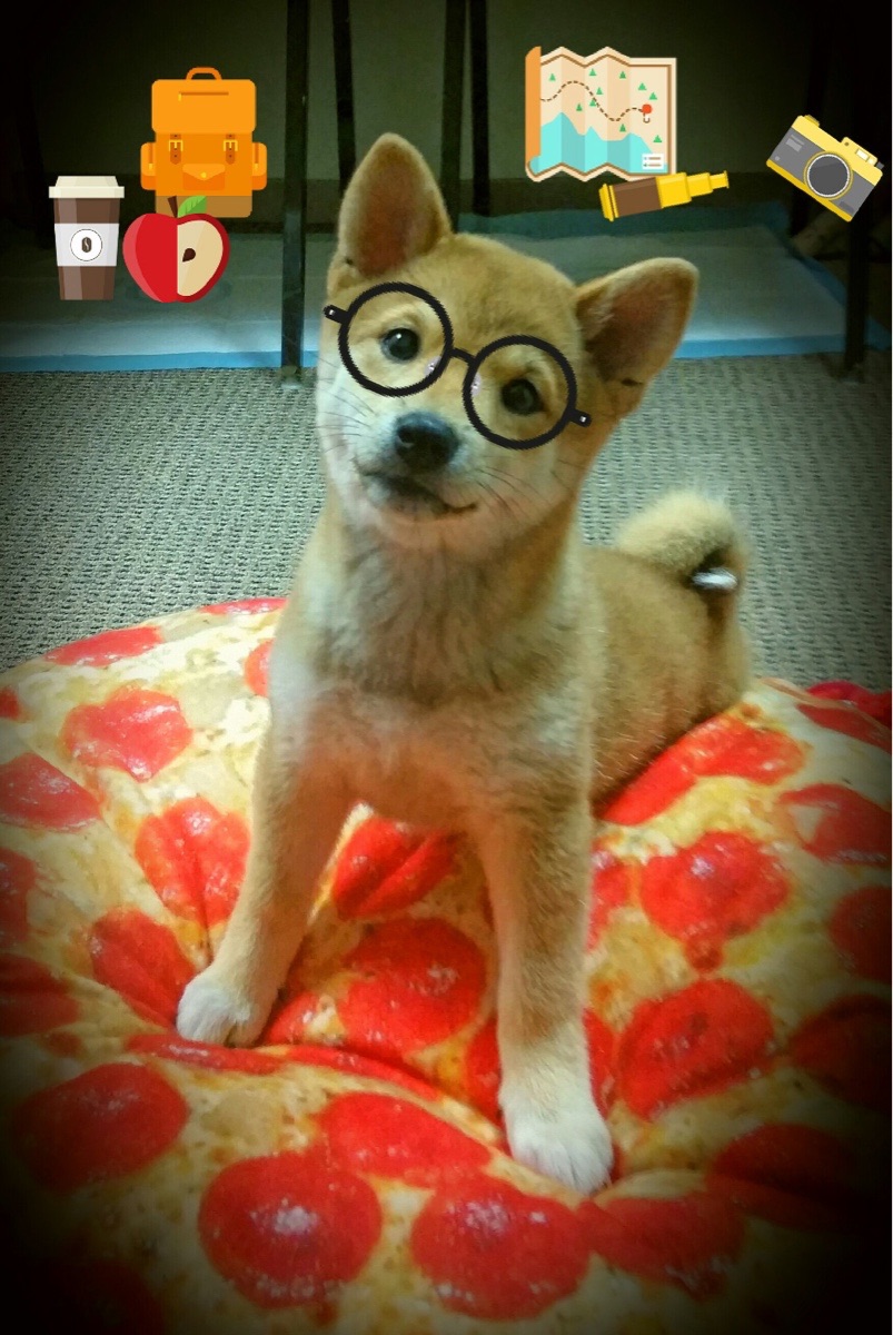 格鲁吉亚女篮在欧洲锦标赛中持续爆发，期待突破极限，格鲁吉欧女王vs