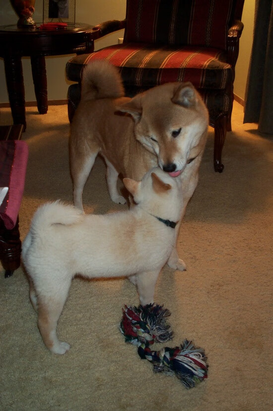 -英超豪门争霸：冠军争夺激烈到最后一刻，英超豪门俱乐部